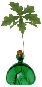 Βάζο Για Ανάπτυξη Καρπού Βελανιδιού 001-3 10x10cm Emerald Green Ilex Studio Glass