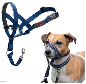 Ρύγχος Company of Animals COBALT Μπλε Μέγεθος 1