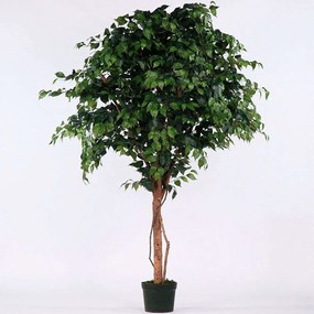 Τεχνητό Δέντρο Φίκος 5140-6 160x230cm Green Supergreens Πολυαιθυλένιο