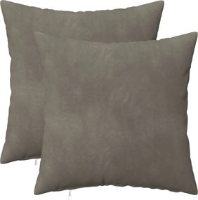 vidaXL Μαξιλάρι Ρίψης 2 τμχ. HEERLEN Ανοιχτό γκρι 30 x 30 cm Βελούδο