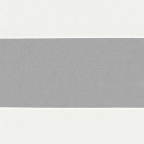 vidaXL Αδιάφανο σκίαστρο μπαλκονιού 200 x 300 cm