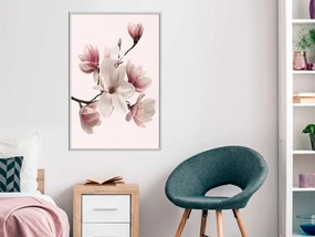 Αφίσα - Blooming Magnolias I - 30x45 - Μαύρο - Με πασπαρτού