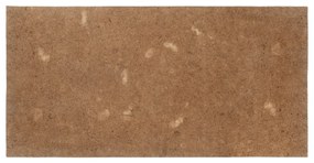 vidaXL Επίστρωμα 100 x 200 εκ. από Κοκοφοίνικα