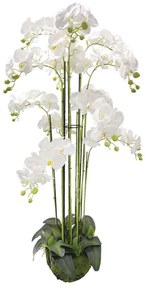 Τεχνητό Φυτό Ορχιδέα 04-00-94371-1 135cm Green-White Marhome Plastic, Fabric