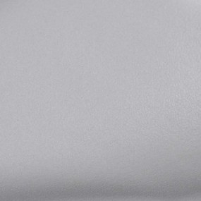 vidaXL Μεμβράνες Αυτοκινήτου 2 τεμ. Ασημί Ματ 100 x 150 εκ.