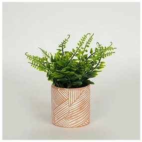 Φυτό Σε Γλαστρακι Τερρακοτα 18cm 758-14021 Estheti-758-14021-Καφέ 758-14021
