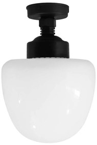 Φωτιστικό Οροφής - Πλαφονιέρα Βελανίδι 11-0289 Lp-120Ce Φ20x29cm Black Heronia