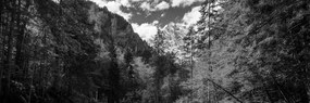 Εικόνα ασπρόμαυρο ορεινό τοπίο - 150x50