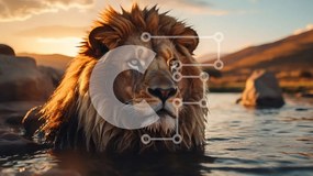 Intra Συλλεκτικό Ξύλινο Παζλ Plywood 4mm - Λιοντάρι που κάθεται στο νερό στο ηλιοβασίλεμα Σε Ξύλινο Κουτί - Διαστάσεις: 10x10 cm – 25 κομμάτια