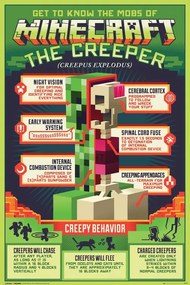 Αφίσα Minecraft - Creepy Behaviour, (61 x 91.5 cm)