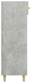 Παπουτσοθήκη Γκρι Σκυροδέματος 60x35x105 εκ. Επεξεργασμένο Ξύλο - Γκρι