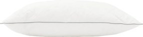 vidaXL Μαξιλάρι FULDA 40 x 80 cm 100% Πούπουλο και φτερό χήνας Λευκό