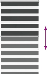 vidaXL Ζέβρα τυφλή Μαύρο Πλάτος υφάσματος 85,9 εκ. Πολυεστέρας
