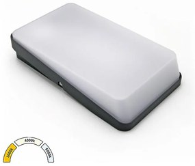 Adeleq Απλίκα LED Αλουμινίου Ορθογώνια 9W CCT ΙΡ54 Γραφίτης 3-891