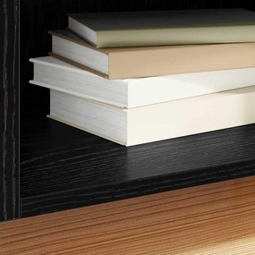 vidaXL Ντουλάπι δίσκων βινυλίου Μαύρη Οξυά 121 x 38 x 48 cm