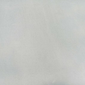 vidaXL Περίγραμμα γκαζόν 30 pcs 100 x 0,05 x 30 εκ Ασημί