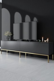 TV Stand Lord - Anthracite, Gold Anthracite
Gold