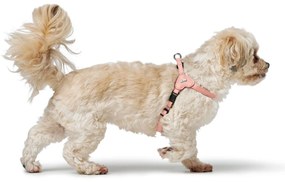 Λουρί Σκύλου Hunter SOHO MINI Ροζ XS/S