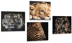 Σετ εικόνων με άγρια ​​ζώα - 4x 40x40