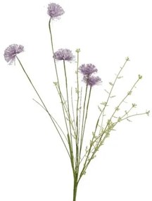 Beauty Home ΛΟΥΛΟΥΔΙ  60cm
