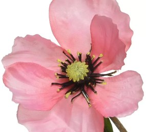 Beauty Home ΠΑΠΑΡΟΥΝΑ ΡΟΖ 71 CM