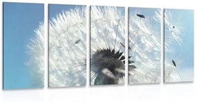 Πικραλίδες λεπτομέρειας εικόνας 5 μερών - 100x50