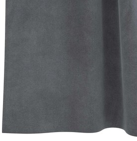 vidaXL Κουρτίνες με κουρτίνες 2 pcs Ανοιχτό γκρι 140 x 245 cm Βελούδο