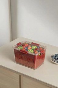 Stewehome Δοχείο αποθήκευσης 4 λίτρων από πλαστικό 18x24x15 cm