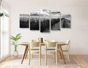 Εικόνα 5 μερών ενός ηλιοβασιλέματος πάνω από ένα χωράφι σε ασπρόμαυρο - 200x100