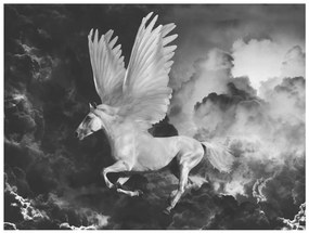 Φωτοταπετσαρία - Pegasus on the way to Mount Olympus  250x193