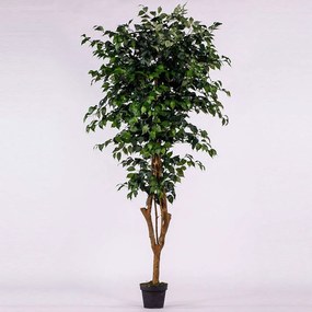 Τεχνητό Δέντρο Φίκος 0240-6 195cm Green Supergreens Polyethylene,Fabric