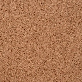 vidaXL Φελλός σε Ρολό 100 x 200 εκ. / 8 χιλ.