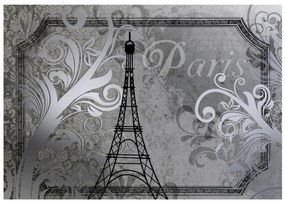 Φωτοταπετσαρία - Vintage Paris - silver 250x175