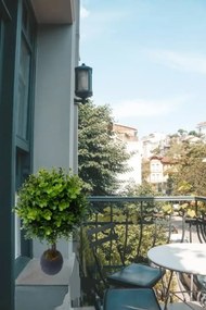 Stewehome Τεχνητό δέντρο με φύλλα ευκαλύπτου και σφενδάμου για μπαλκόνι και σαλόνι