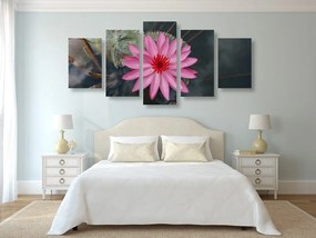 Εικόνα 5 τμημάτων μαγευτικό λουλούδι λωτού - 200x100
