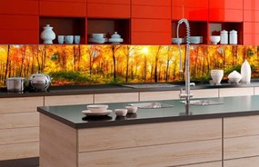 Αυτοκόλλητη φωτοταπετσαρία για κουζίνα ηλιόλουστο δάσος - 180x60
