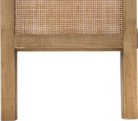 Παραβάν (120x1.8x169.5) A-S Rattan 178720