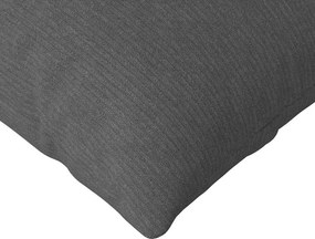 vidaXL Μαξιλάρι Καναπέ 2 pcs Σκούρο Γκρι 120 x 40 cm
