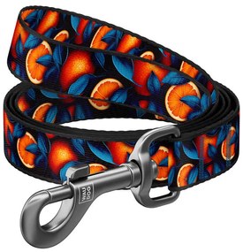 Nylon dog leash, pattern ''Oranges'' length 122 cm Waudog