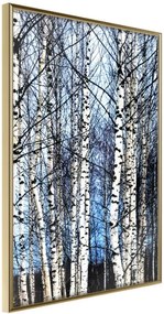 Αφίσα - Winter Birch Trees - 30x45 - Χρυσό - Χωρίς πασπαρτού