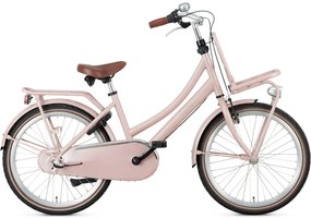 Daily Dutch Basic+ 22 Inch 35 cm Girls 3SP Coaster Brake SalmonPopal