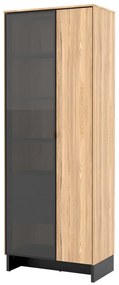 Βιτρίνα Fresno AL102, Μαύρο, Ανοιχτό χρώμα ξύλου, Με πόρτες, Με συρτάρια, Ο αριθμός των θυρών: 2, Αριθμός συρταριών: 2, 196x73x40cm, 74 kg