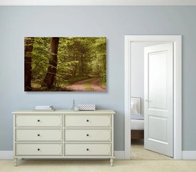 Εικόνα πράσινο δάσος - 120x80