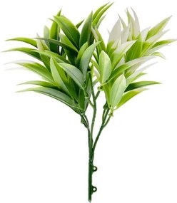 New plan ΔΙΑΚΟΣΜΗΤΙΚΟ ΜΠΟΥΚΕΤΟ (SET 10ΤΜΧ) AMALFI W007 PODOCARPUS NAGI Συσκευσια 10 τεμαχιων