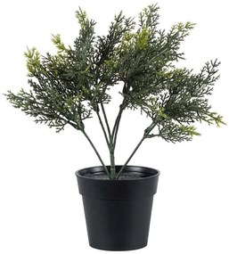 Τεχνητό Φυτό Lemon Cypress 20389 30cm Green Globostar Πολυαιθυλένιο