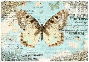 Φωτοταπετσαρία - Postcard with butterfly 200x140