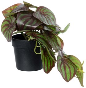 Τεχνητό Φυτό Peperomia 20952 Φ23x16cm Green-Brown GloboStar Polyethylene,Fabric