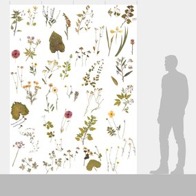 Ταπετσαρία DUTCH WALL DECOR NATURAL HISTORY NH250035-DWD
