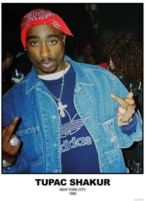 Αφίσα Tupac Shakur - N.Y.C 1993, (59.4 x 84.1 cm)