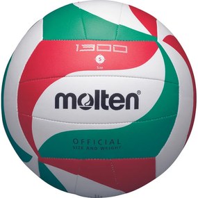 Μπάλα Volley Molten No 5 V5M1300
